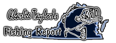 charlie taylor fishing logo